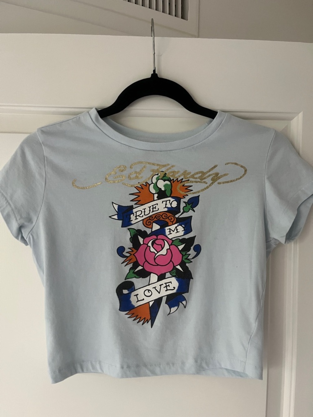 Light Blue Ed Hardry Crop Top
